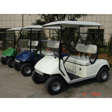Elektrischer Golfbuggy mit 2 Sitzplätzen für Golfplatz